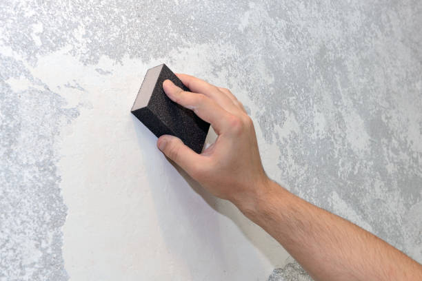 Best Mold Documentation for Insurance Claims  in Leavenworth, WA