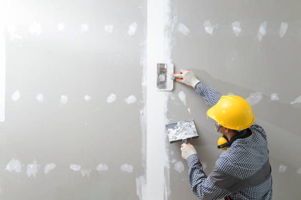 Best Crawl Space Mold Remediation  in Leavenworth, WA