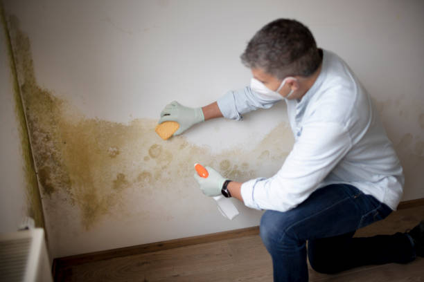 Best Emergency Mold Remediation  in Leavenworth, WA