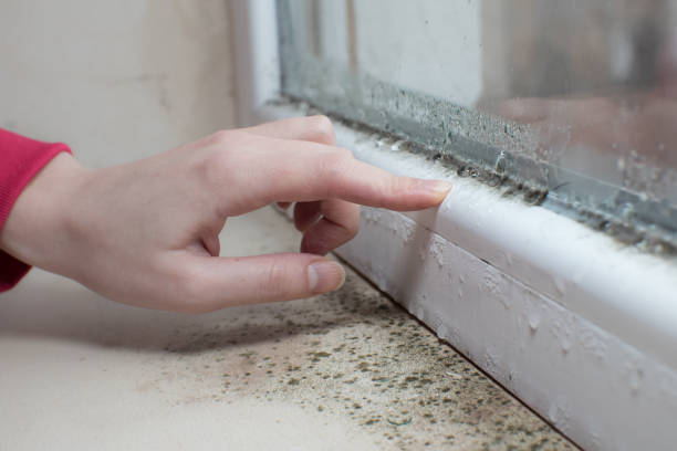 Best Dehumidification Services  in Leavenworth, WA